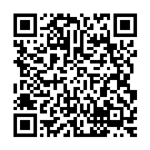 重要的是能够修炼到圣级九层后期巅峰的修士都是各族的族长二维码生成