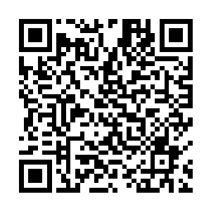 重视敌人最多会让你觉得敌人比自己预期之中弱了很多二维码生成
