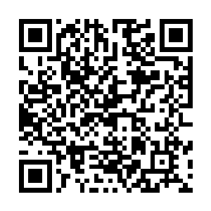 重重的砸到苍羽玄觞万古灵树下风处的那栋漂亮的小木屋上二维码生成