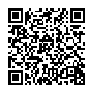 野人洲历史就是的一场几乎从来没有停止过的混战史二维码生成