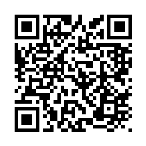 野兽不可能会有削尖木头的智慧的二维码生成