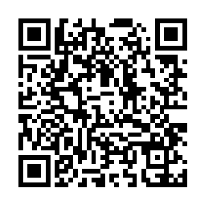 野叟看着两个那两个明显不是战士的家伙不解的问云峥二维码生成