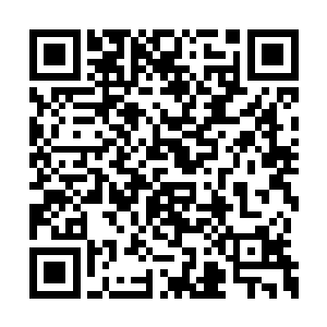 野崎雄二呆滞的目光中突然闪过一抹彻底的疯狂二维码生成