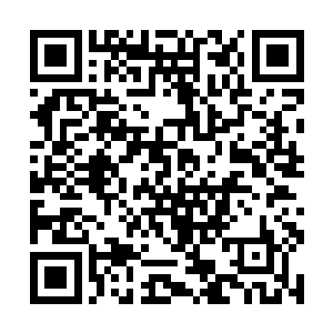 野村这些超大型企业都早已经建立起了自己专门智库二维码生成