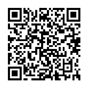 野泽花梨慌乱的从可爱小包包里摸出粉红色手机二维码生成