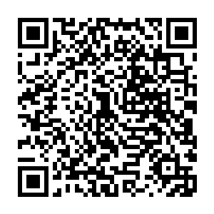 野狼和老鼠一个个双眼放出血腥的绿光在城市和靠近城市的荒野之中游荡……二维码生成