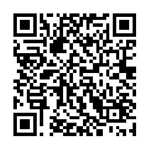 野猪巨大的身体也是瞬间朝着龙傲天的身上撞了过来二维码生成