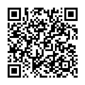 野猪每天的开销在吃的方面估计都是二十两银子二维码生成