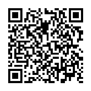 野王选手的真实身份是阿波罗军事学院机甲系的大一新生二维码生成