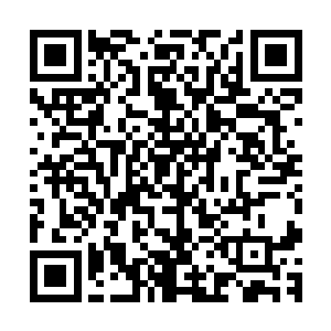 野路子竟然真的又出现了一个很可能达到十级以上的大骨器师二维码生成