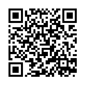 金丹和筑基的比例都在一比三十以上二维码生成
