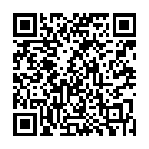 金乌城中这个时候正在紧锣密鼓的搜刮着杀手背后的线索二维码生成