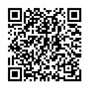 金乌木不但可以通过深达地底数千米的根系搜集大量的养分二维码生成