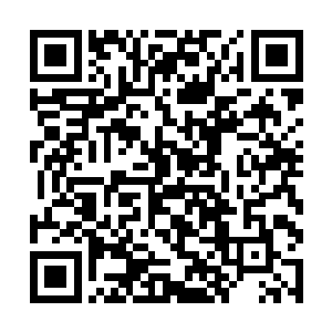 金人凤现在的修为终于达到了金丹期中期圆满的境界二维码生成