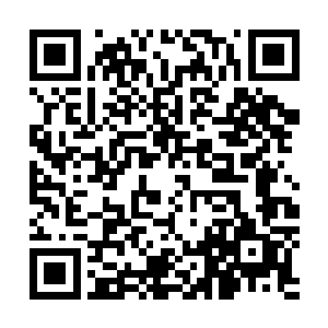 金仙体和大日炎体也能修炼至相当于最上等的顶级神品血脉二维码生成