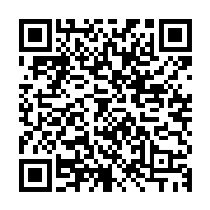金凌翔终于有机会跟巴克坐到考斯特面包车的后面来亲热的握手二维码生成