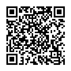 金刀的锋利就算是伪灵器如果硬碰硬的话也能斩断二维码生成