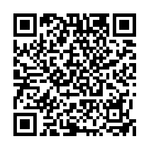 金刚之体那强大的生命力给予他恐怖的再生能力二维码生成