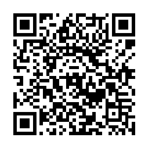 金刚佛陀的金刚渡厄之体尚且厉害吧……跟沈凡比起来二维码生成