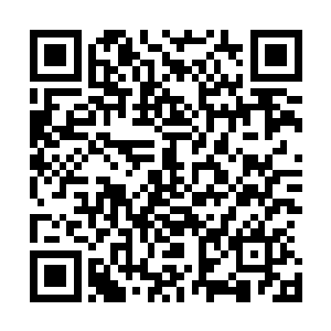 金发碧眼的元始族也对黑发黑眸的元始族投以最锐利的目光二维码生成