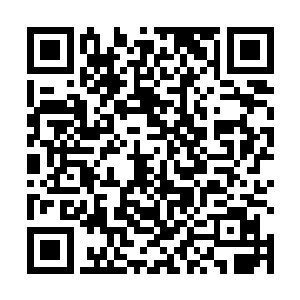 金圣银圣才会在主动吞噬了你的血液之后变成这样……二维码生成