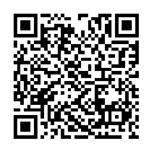 金在珉不得不怀疑这两人不会是上天派来逗b的吧二维码生成