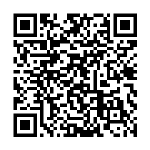 金在珉对于权侑莉拍掉他手的行为也没有感觉到尴尬二维码生成
