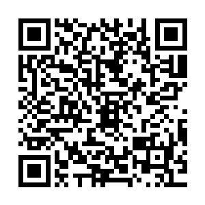 金在珉已经开始怀疑是不是这个姑姑太无聊接了一部电视剧玩了二维码生成
