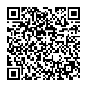 金地君依仗着穿山甲的能力开始指挥着自己的同族在地底建立宫殿二维码生成
