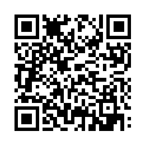 金字塔和公路铺设工地进行全方位保护二维码生成