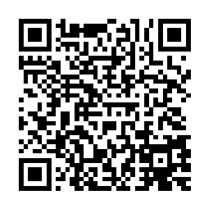 金家主应该非常清楚对于一个武者来说背叛的下场是非常严重的二维码生成