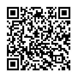 金家的人很快便将那些小家族的名单分配完毕了二维码生成