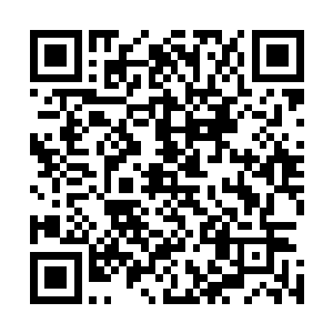 金州这边好像没有这种实验室存在吧……你什么时候要用啊二维码生成