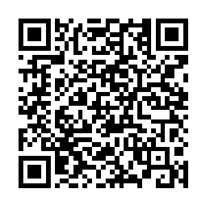 金惠善对于自己这个天才侄子的惊讶表情是非常的满意二维码生成