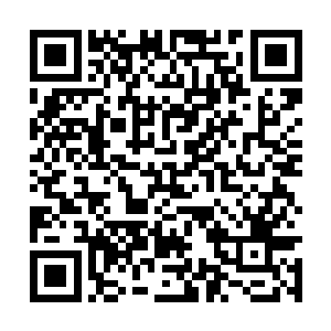 金无锋通过传讯玉简将许紫烟的死讯报给了林上风二维码生成