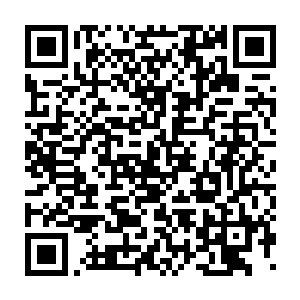 金木水火土光暗风雷时间十个剑灵向着那朵虚无之花的周围激射而去二维码生成