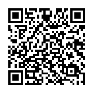 金木水火土光暗风雷时间空间十一种属性的星核都有二维码生成