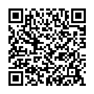 金殿内的人从被囚那一刻开始对夭华而言就只是二维码生成