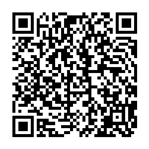 金牛此刻只感觉在苏凡的手臂上有着五股力道在不断的窜进自己的手臂之中一般二维码生成