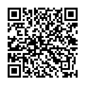 金牛里的粮食足够白河谷地如今的人数规模度过至少两年二维码生成