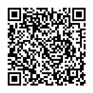 金玉良缘的强大血脉的加持更让腹中的新生命在未来充满了无限的可能二维码生成