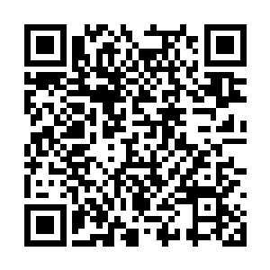 金甲赤虫直接咔嚓一口朝着那楼梯铁栏杆咬了下去二维码生成