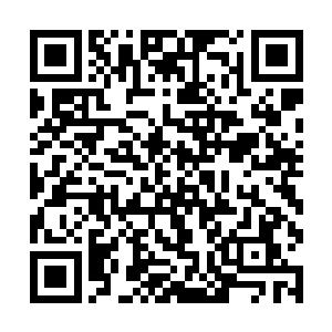 金箍法王和武陀僧人皆是炼化了七枚本命晶核的高手二维码生成