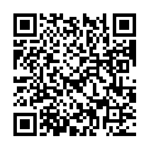 金线龟的龟甲完全承受住了八臂大妖尊的一拍之力二维码生成