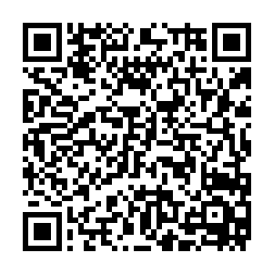 金色剑气和完全由白色烈焰凝聚而成的神凤与帝王神器猛烈的碰撞在一起二维码生成