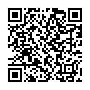 金色武器比银色武器多了抗疲劳属性路杀幼蜂升到五级二维码生成