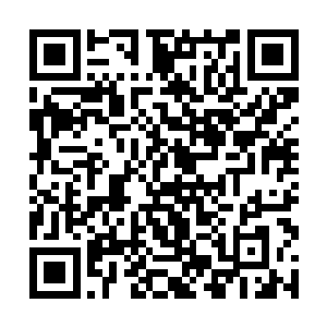 金色的审判长矛一根又一根插在艾瑞克坚韧的身体上二维码生成