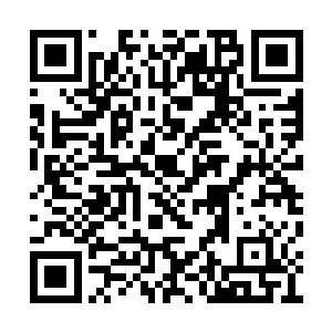 金色的血液已经在青叶上凝聚成一层淡淡的血稠二维码生成