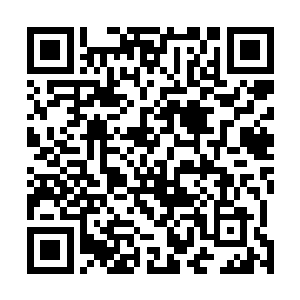 金色血液连同粘稠的透明体液哗哗从它破败的身体中流出二维码生成