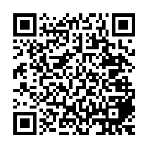 金色阁楼按福地规模来说是很小――规模直接决定了灵气的总量二维码生成